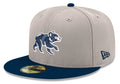 Chicago Cubs Stone/Navy Spring Training Bear New Era 59FIFTY Fitted Hat