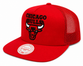 Chicago Bulls Mitchell & Ness NBA Evergreen Trucker Snapback Hat