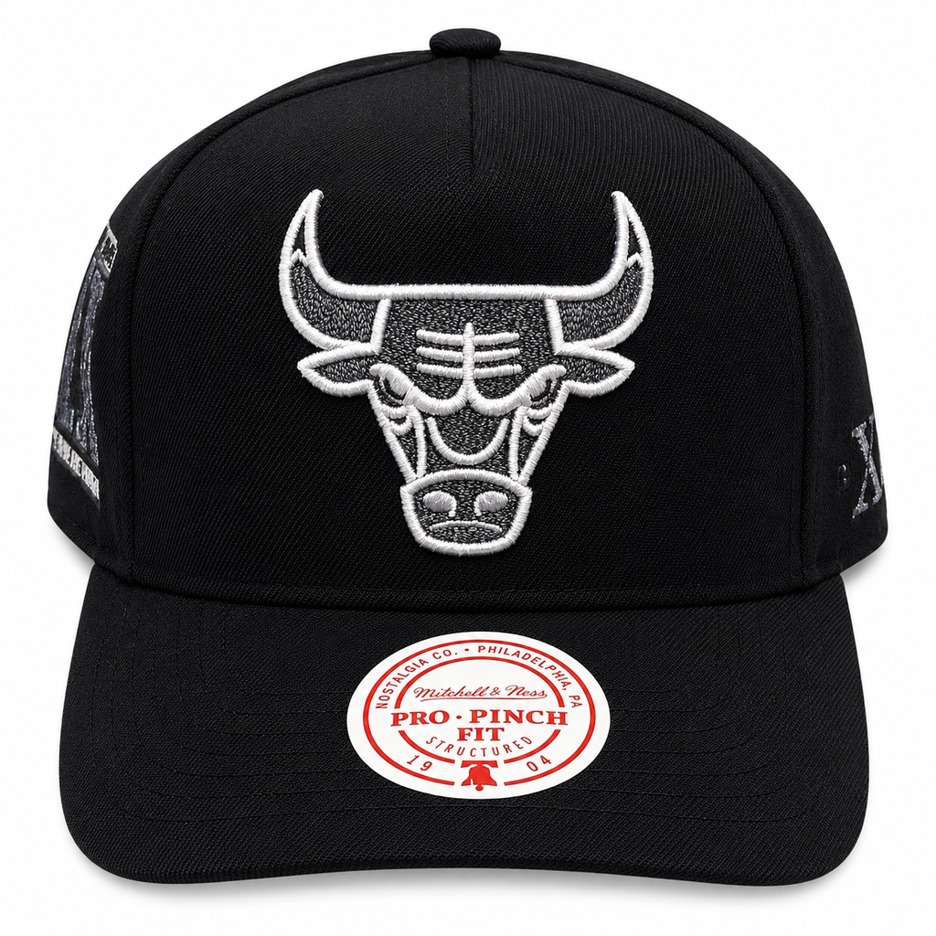 Chicago Bulls Mitchell & Ness NBA Core Jordan XI Pro Snapback Hat