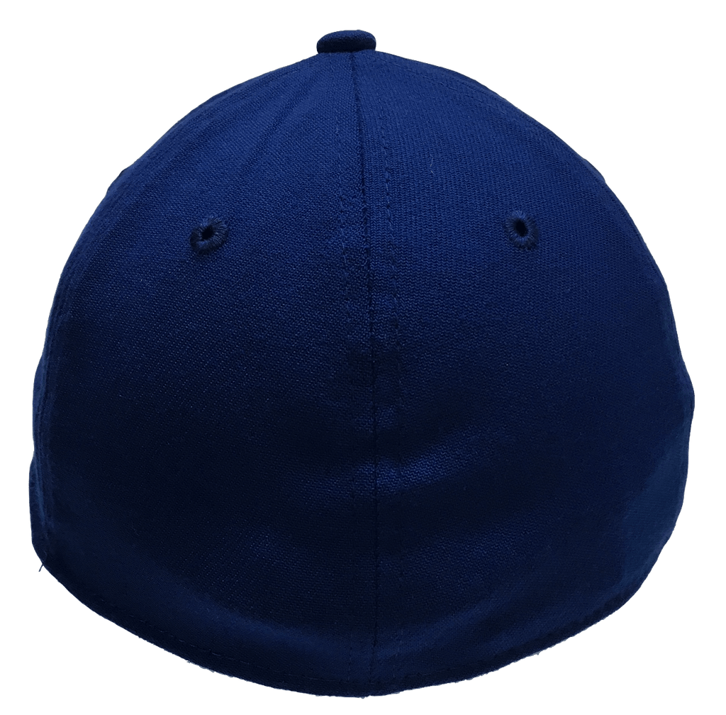 Men's Chicago Cubs 2016 NL Central Division Champions New Era Royal MLB Team 39THIRTY Flex Hat