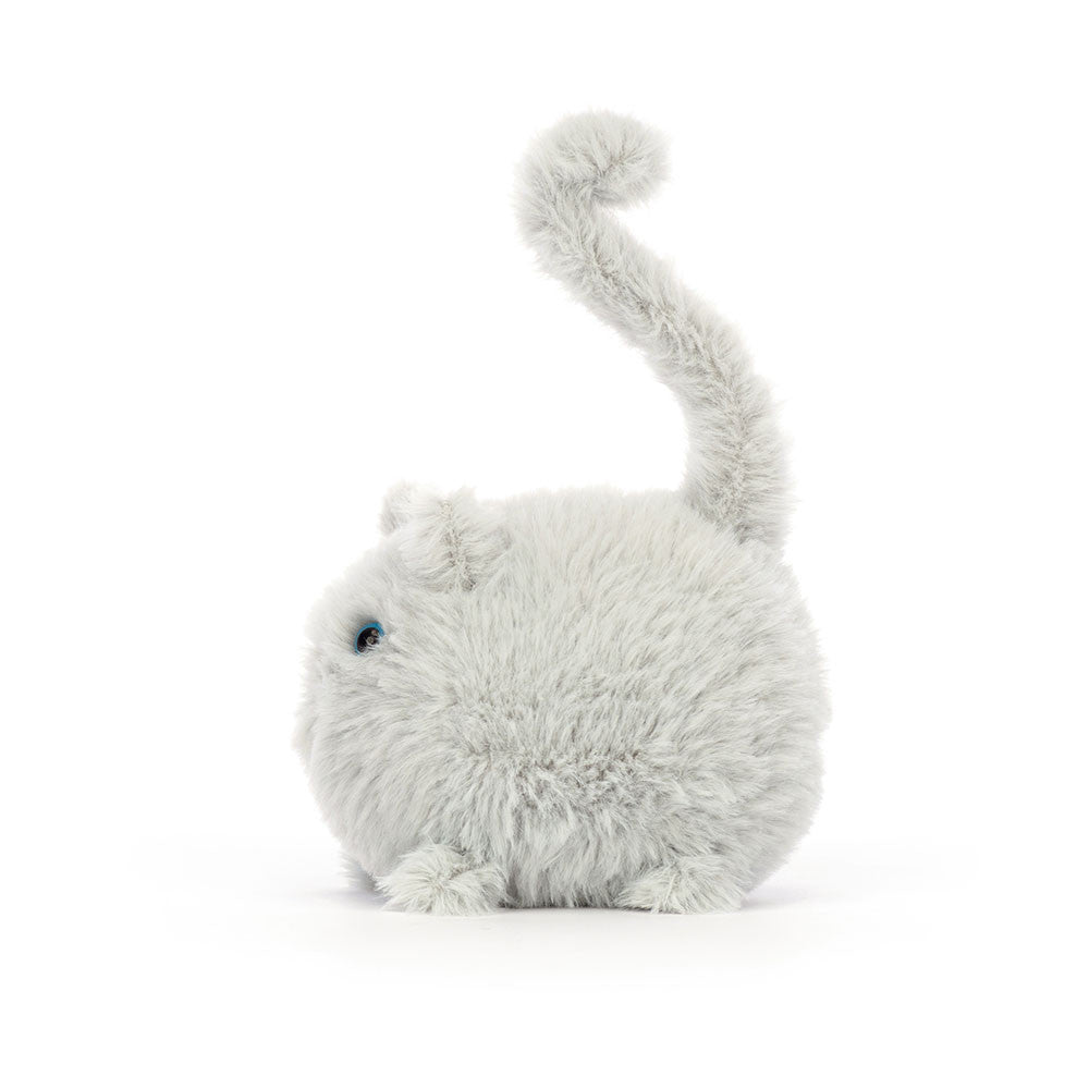 Kitten Caboodle