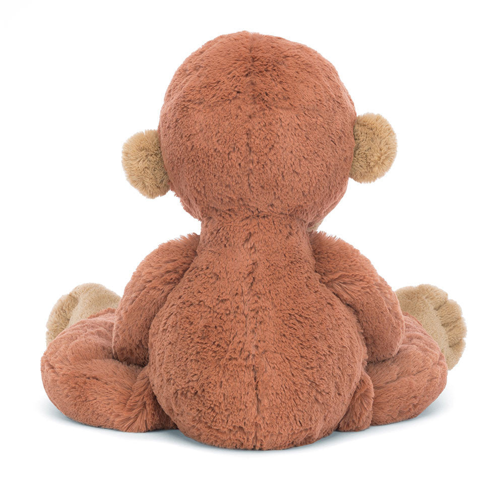 Pongo Orangutan