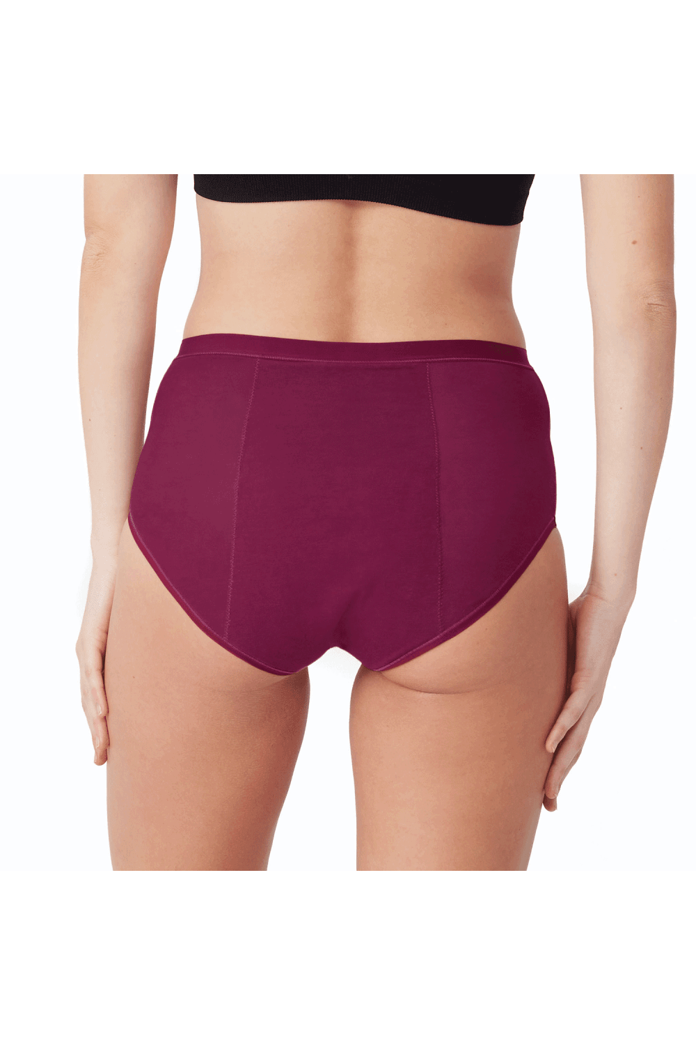 Period Full Brief Plum (1pcs)