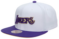 Men's Los Angeles Lakers Mitchell & Ness 50th Anniversary HWC Purple/White Snapback Hat