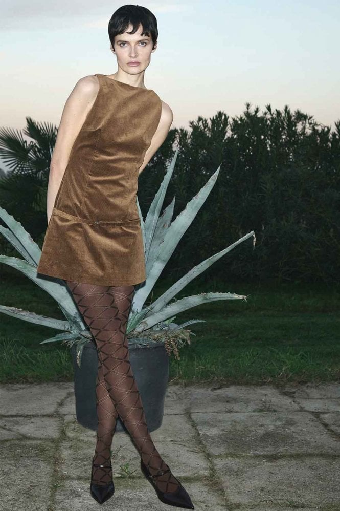 Monsoons Brown Tights