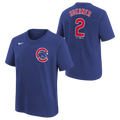 Youth Chicago Cubs Nico Hoerner Nike FUSE Royal Blue Name & Number T-Shirt