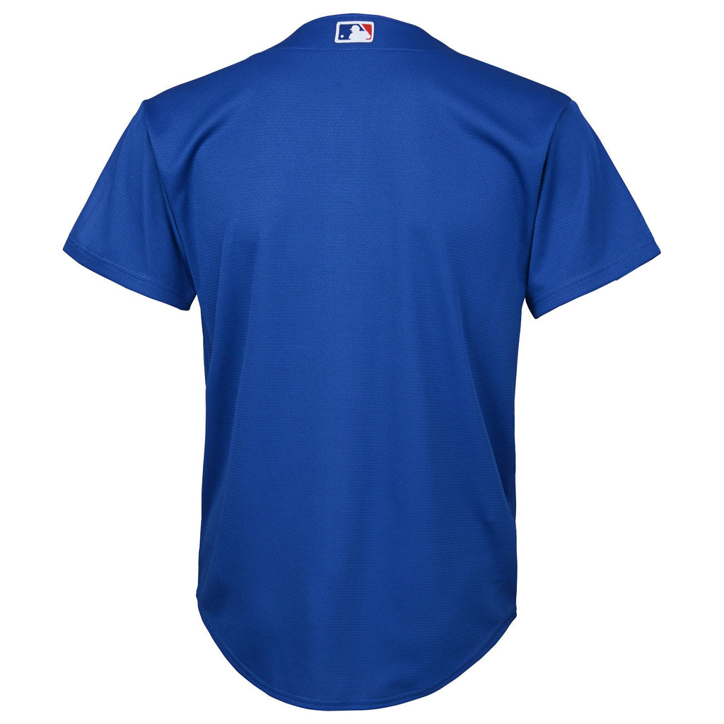 Youth Chicago Cubs Nike BLUE Alternate Replica Team Jersey
