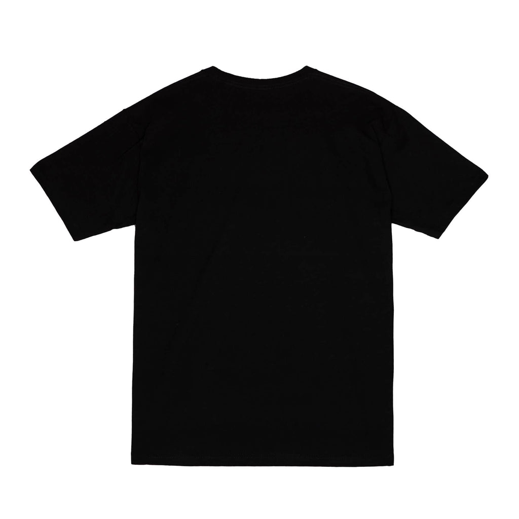 Men's Charlotte Hornets NBA Legendary Slub Black Tee By Mitchell And Ness