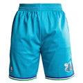 Charlotte Hornets Mitchell and Ness Hardwood Classics Teal 1999-2000 Swingman Shorts