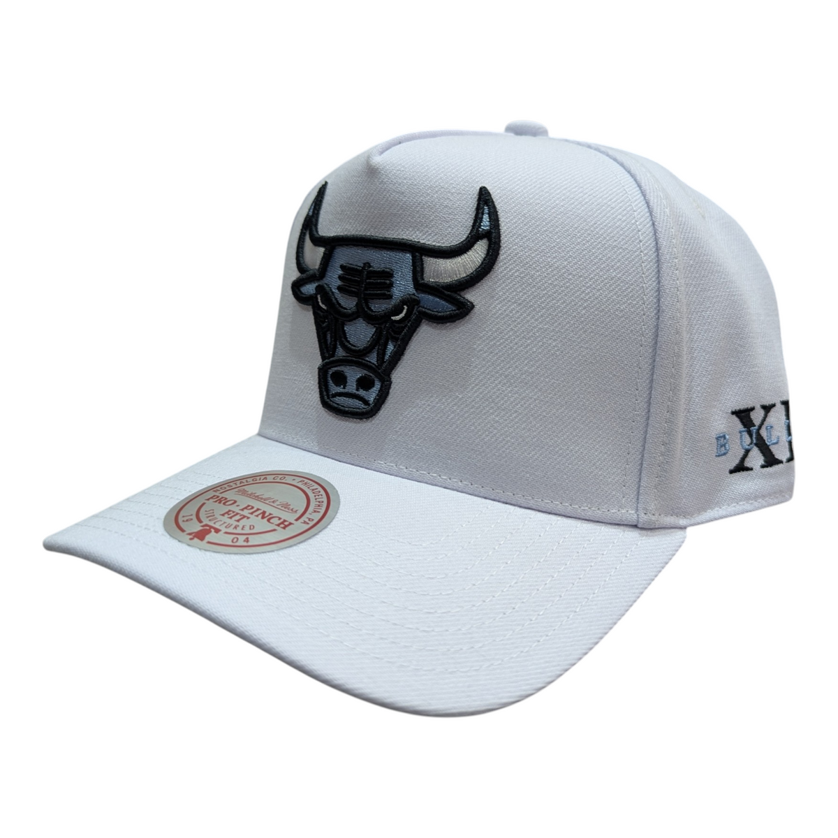 Chicago Bulls Mitchell & Ness NBA Core Jordan XI Pro Snapback Hat