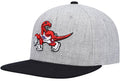 Men's Toronto Raptors Mitchell & Ness Gray/Purple Heathered Underpop Snapback Hat